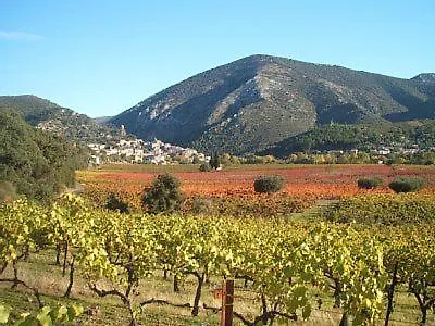 Bel Appartement, Terrasse Plein Sud, Vieux Village * Roquebrun